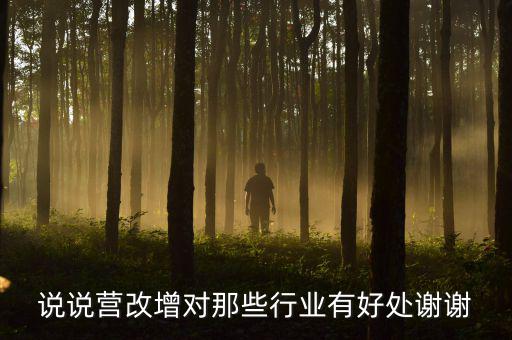 說(shuō)說(shuō)營(yíng)改增對(duì)那些行業(yè)有好處謝謝