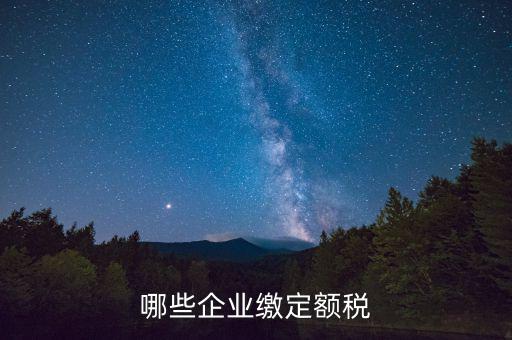 什么公司定額征稅，哪些企業(yè)繳定額稅