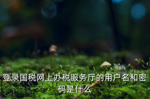 電子稅務(wù)密碼是什么，登錄國(guó)稅網(wǎng)上辦稅服務(wù)廳的用戶名和密碼是什么