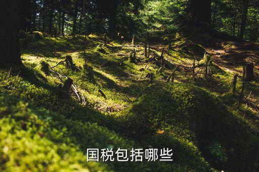 國家稅務局包括什么，國稅包括哪些