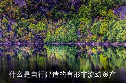 什么叫自建不動產(chǎn)，自建不動產(chǎn)不共擔(dān)風(fēng)險(xiǎn)的投資行為