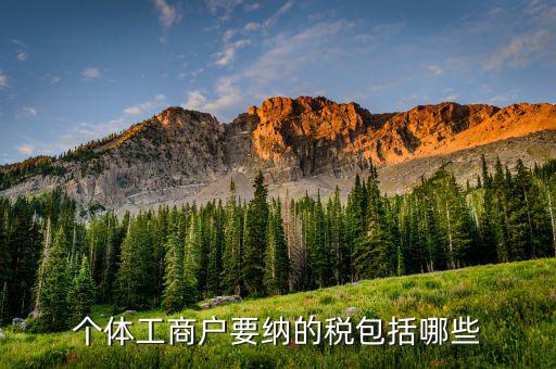 個體戶需要繳納什么稅，個體工商戶需要交哪些稅個體工商戶稅收