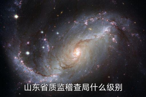 稽查局什么級(jí)別，山東省質(zhì)監(jiān)稽查局什么級(jí)別