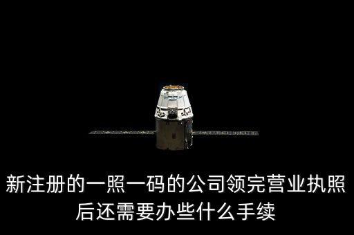 一照一碼后還需辦什么，網(wǎng)上申請一照一碼必須要經(jīng)辦人的U盾嗎