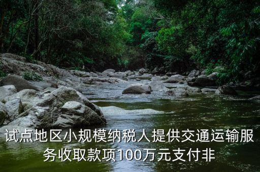 什么向試點(diǎn)地區(qū)納稅人支付費(fèi)用，4試點(diǎn)地區(qū)內(nèi)一般納稅人向試點(diǎn)地區(qū)內(nèi)一般納稅人支付費(fèi)用取得增值