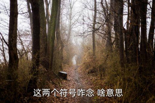 項(xiàng)稅讀音是什么意思，怎么讀是什么意思