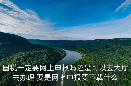 地稅進國稅要下載什么，深圳國地稅想網(wǎng)上申報要下載什么東西嗎
