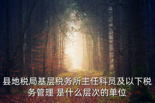 地稅局主任干什么，在地稅局工作寫材料具體是怎么工作