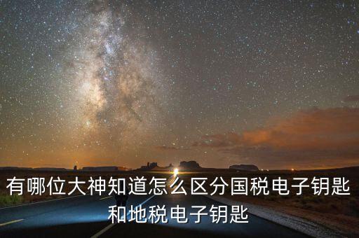 國稅電子鑰匙是什么，稅務(wù)密鑰是什么東西是數(shù)字證書嗎