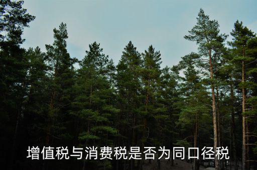 稅收可比口徑什么意思，稅收比重什么意思