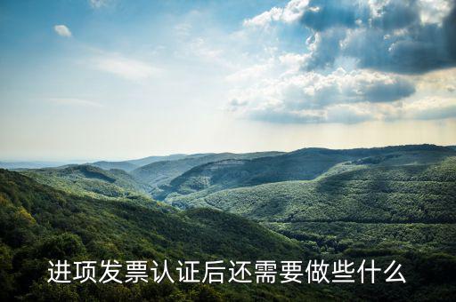 核定發(fā)票后發(fā)行后還坐什么，認(rèn)證完發(fā)票在干什么