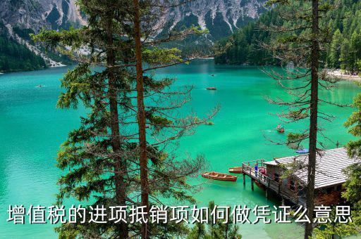 進(jìn)項證明是什么意思，上年度藥品收入情況的稅務(wù)單據(jù)證明是什么意思