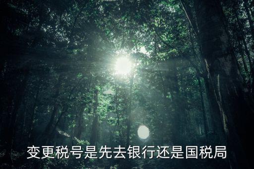 變更稅號(hào)屬于什么業(yè)務(wù)，公司變更稅號(hào)都要什么東西
