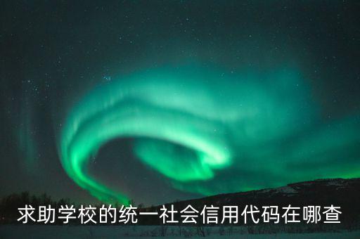 學(xué)校的社會信用代碼是什么東西，求助學(xué)校的統(tǒng)一社會信用代碼在哪查