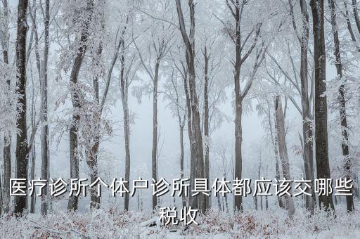 醫(yī)健護(hù)航都交什么稅，醫(yī)療診所個(gè)體戶(hù)診所具體都應(yīng)該交哪些稅收