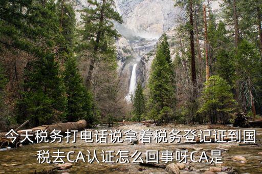報稅用的ca是什么，今天稅務打電話說拿著稅務登記證到國稅去CA認證怎么回事呀CA是