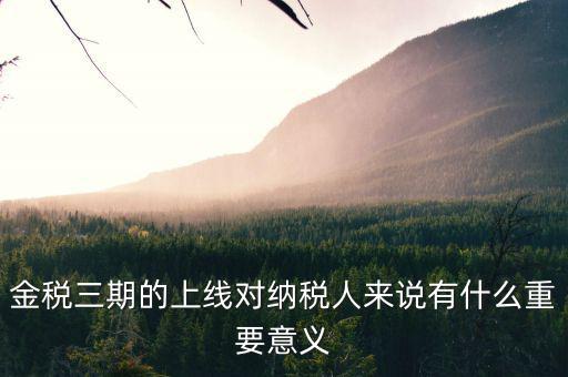 金稅三期的重點(diǎn)是什么意思，金稅三期是什么意思