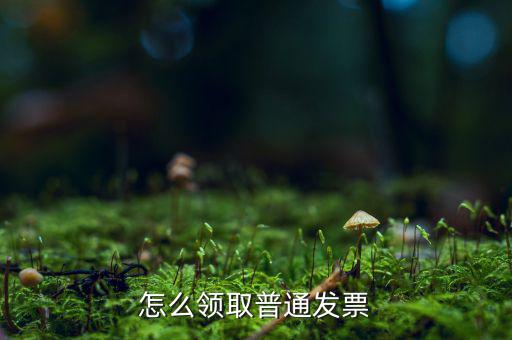 普通發(fā)票在什么地方領(lǐng)，怎么領(lǐng)取普通發(fā)票