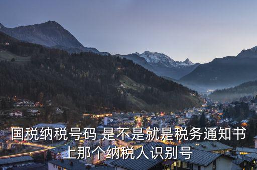 國稅納稅號碼 是不是就是稅務(wù)通知書上那個納稅人識別號