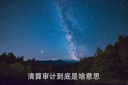 什么是申報清冊，電子稅務(wù)廳的重新獲取申報清冊是什么意思