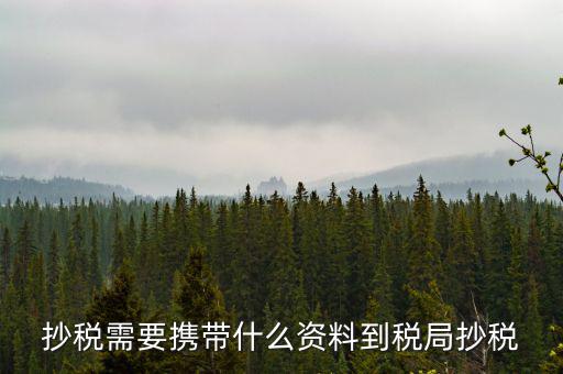 報稅查什么輔導信息，剛申請為一般納稅人在哪查看是否要經(jīng)過輔導期納稅申報初始化填5