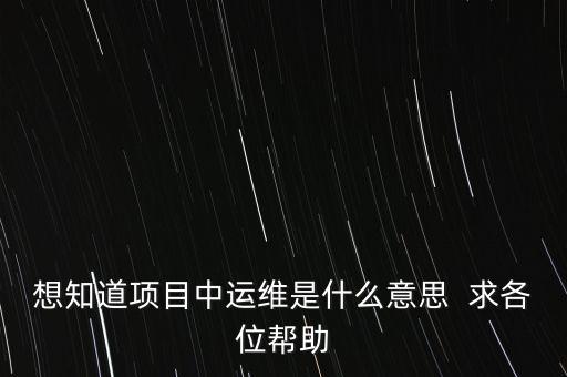 地稅提運(yùn)維是什么意思，想知道項(xiàng)目中運(yùn)維是什么意思  求各位幫助