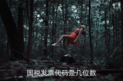 發(fā)票代碼是什么位置，國(guó)稅普票代碼是幾位數(shù)字在什么位置