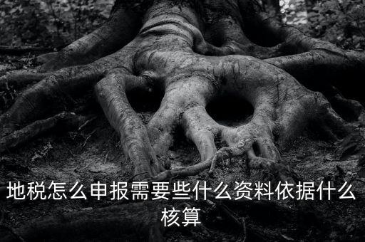 地稅根據(jù)什么申報(bào)，地稅怎么申報(bào)