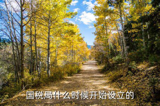 國(guó)稅局什么時(shí)候開(kāi)始設(shè)立的