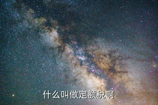 定額定稅是什么意思，什么叫做定額稅啊