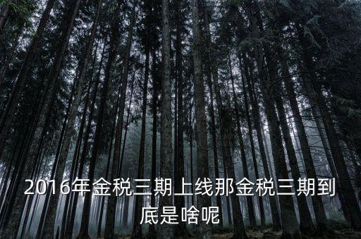 國稅金稅三期是什么意思，金稅三期是什么意思