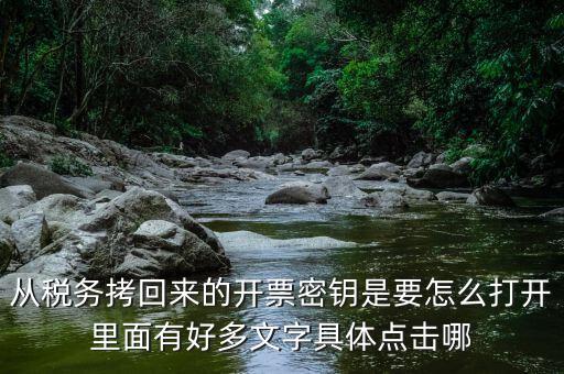 稅務(wù)密鑰是什么，增值稅專用發(fā)票辦理秘鑰是什么意思