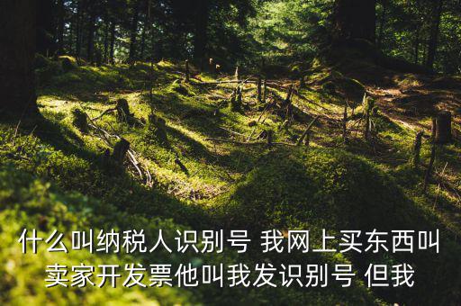 公司納稅識(shí)別號(hào)是什么意思，納稅人識(shí)別碼是什么