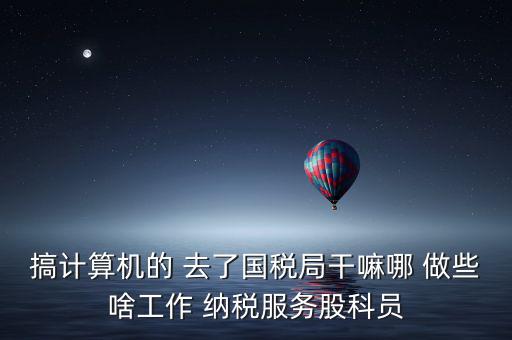 納服科是什么，搞計算機的 去了國稅局干嘛哪 做些啥工作 納稅服務(wù)股科員