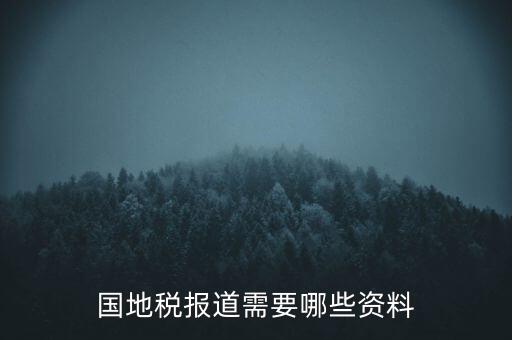 國地稅報道需要哪些資料