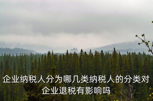什么A級B級信用納稅人，A級增值稅一般納稅人C級增值稅一般納稅