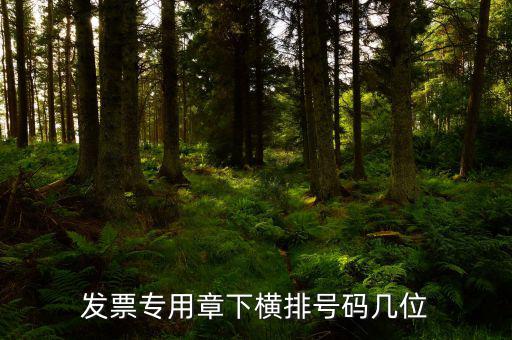 發(fā)票專用章的號碼是什么，發(fā)票專用章和公章上的號碼是一樣的不都是執(zhí)業(yè)許可證號