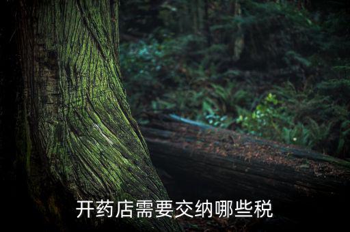 開(kāi)藥店需要交納哪些稅