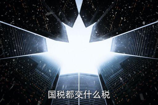 國稅稅款是什么，國稅都交什么稅