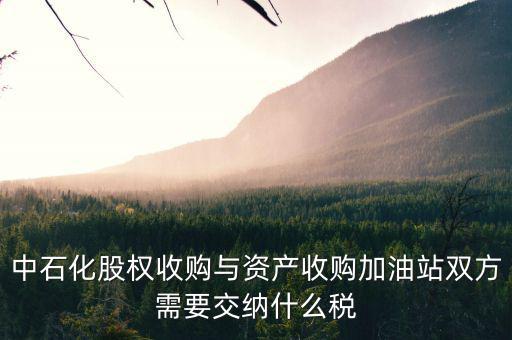 資產(chǎn)收購(gòu)要交什么稅，中石化股權(quán)收購(gòu)與資產(chǎn)收購(gòu)加油站雙方需要交納什么稅
