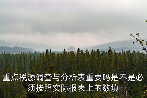 重點稅源調查與分析表重要嗎是不是必須按照實際報表上的數填