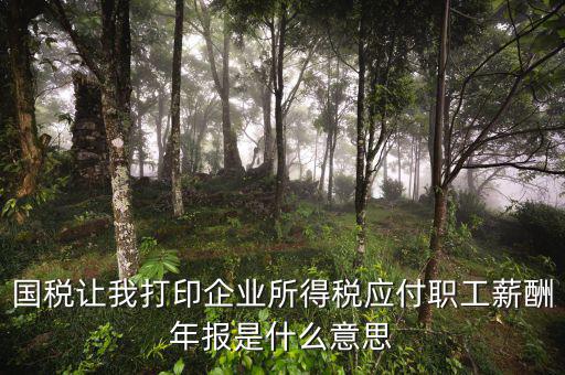 所得稅年報是什么意思，企業(yè)所得稅年報是什么意思怎么報去年4個季度都報了呀我是