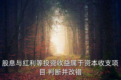 股息紅利等投資收益屬于什么，股息與紅利等投資收益屬于資本收支項目 判斷并改錯