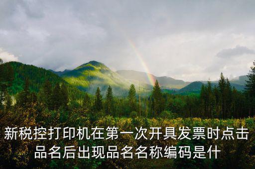 發(fā)票 商品編碼是什么，發(fā)票號碼和發(fā)票代碼是什么我的發(fā)票上只有單據(jù)編碼和貨品編號啊