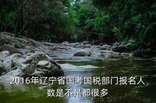 遼寧國(guó)稅什么時(shí)候報(bào)道，國(guó)考公務(wù)員遼寧國(guó)稅聽說(shuō)7月份報(bào)到是式工作了嗎