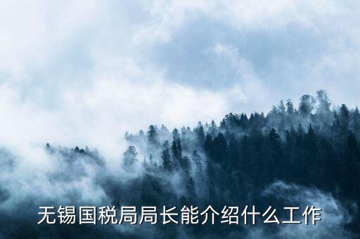 無錫地稅局長接待日是什么，無錫國稅局局長能介紹什么工作