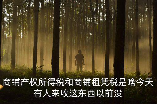 什么叫店面租憑稅，商鋪產權所得稅和商鋪租憑稅是啥今天有人來收這東西以前沒