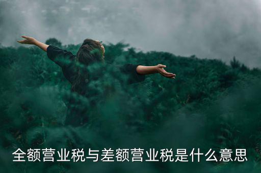 什么叫差額征稅，什么是差額稅