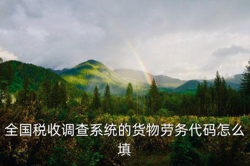 商品和勞務(wù)編碼是什么，貨物勞務(wù)代碼如何填