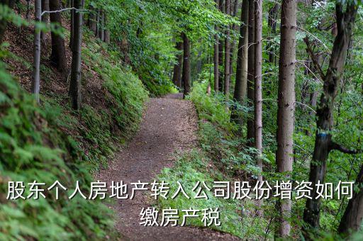 股東個人房地產(chǎn)轉(zhuǎn)入公司股份增資如何繳房產(chǎn)稅